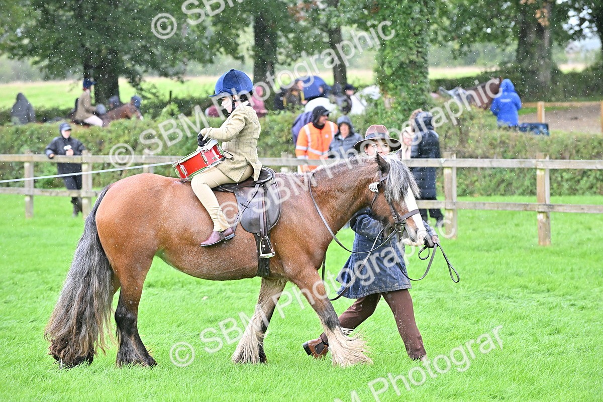 SBM_43039 - S12 - Family Horse & Pony