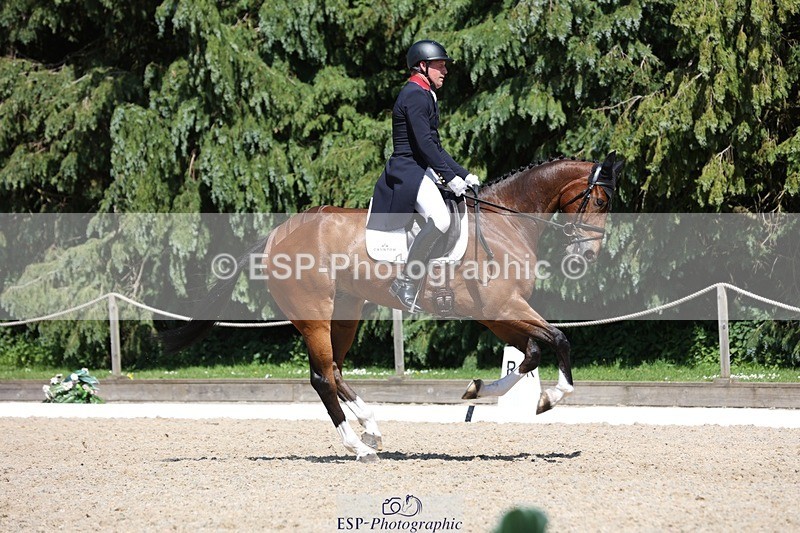230526-145014-06560 - 375-FINLEY_DU_LOIR-Oliver_Townend-WEDTrotUp+DR