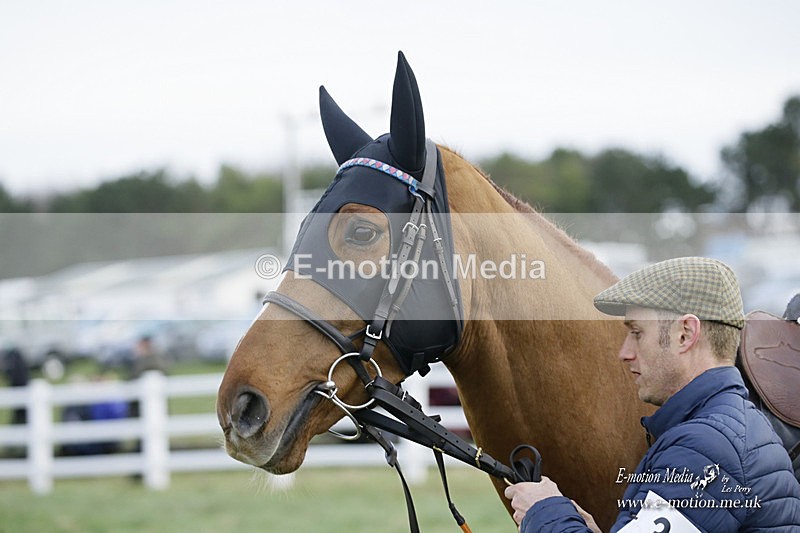 PtP 281121 0486 - Hursley Hambledon Point-to-Point Larkhill 28/11/21