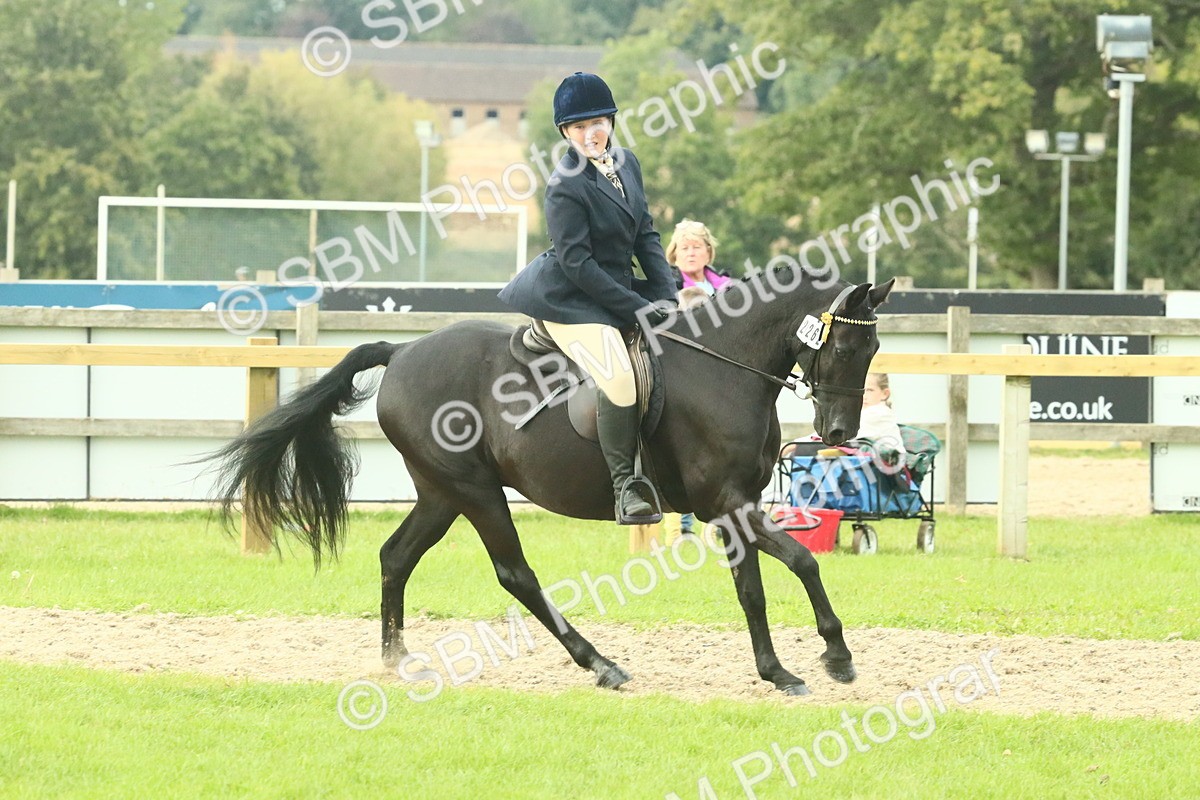 SBM_74104 - S 61 - Show Pony & Show Hunter Pony Ridden