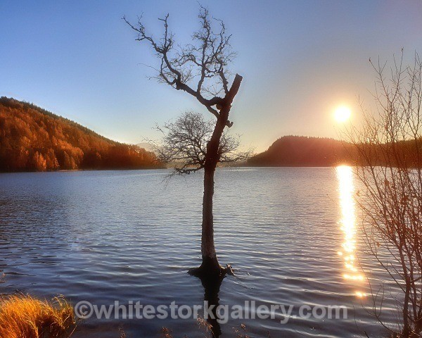Sunset, Cairngorms National Park - Scottish Highlands
