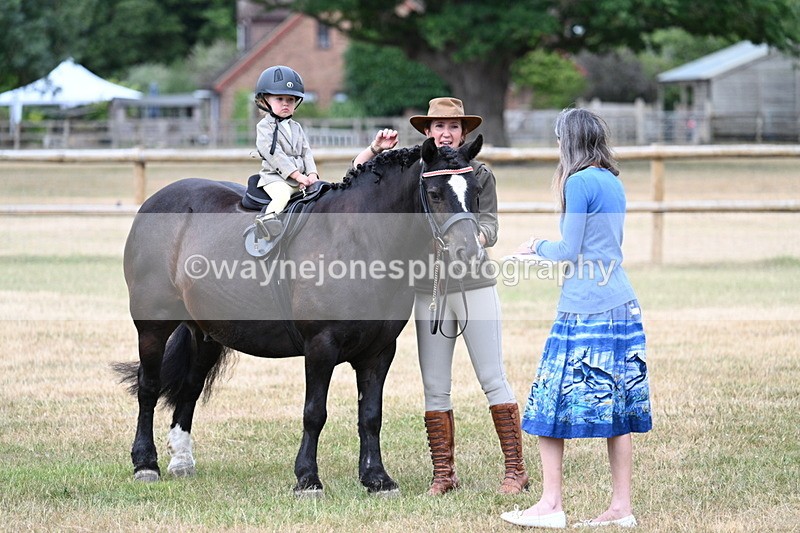 WJ7_9815 - Class 1 Lead Rein Pony