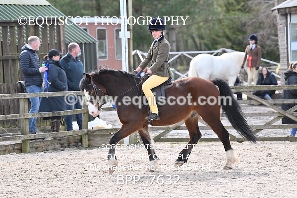 BPP_7632 - RING 1  (RIDDEN HORSES / IN HAND / VETERAN ETC)