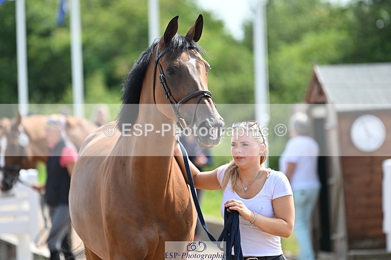 240717A-155508-03183 - Trot Up 3pm to 4pm