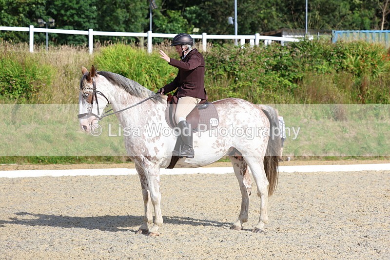 3E7A3321 - Class 2: Intro 1 2024 Section B