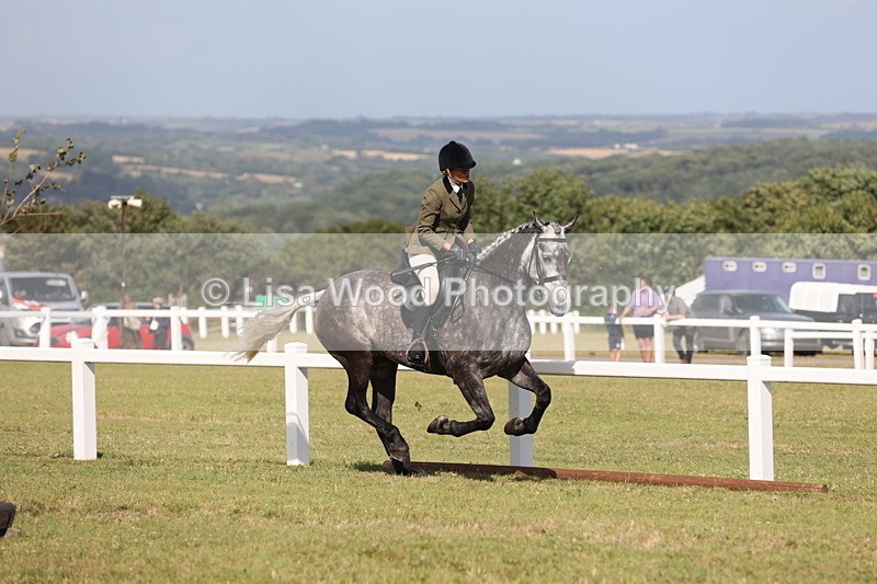 JPP_2947 - Class 20: Working Hunter 70cm