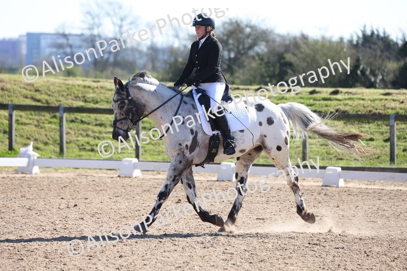 20260318-0484 - Class 5 - Novice 2