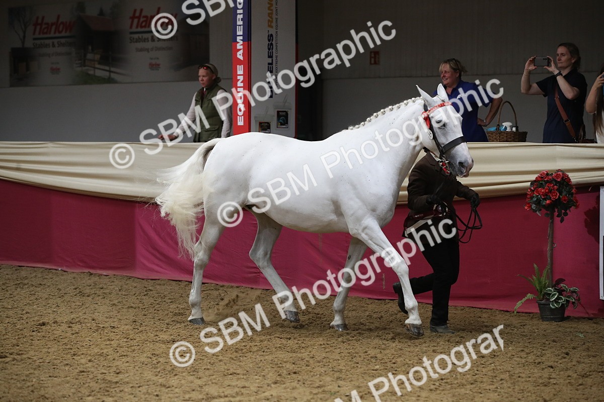 SBM_05840 - Class 9R - Regional IH Pre-Vet