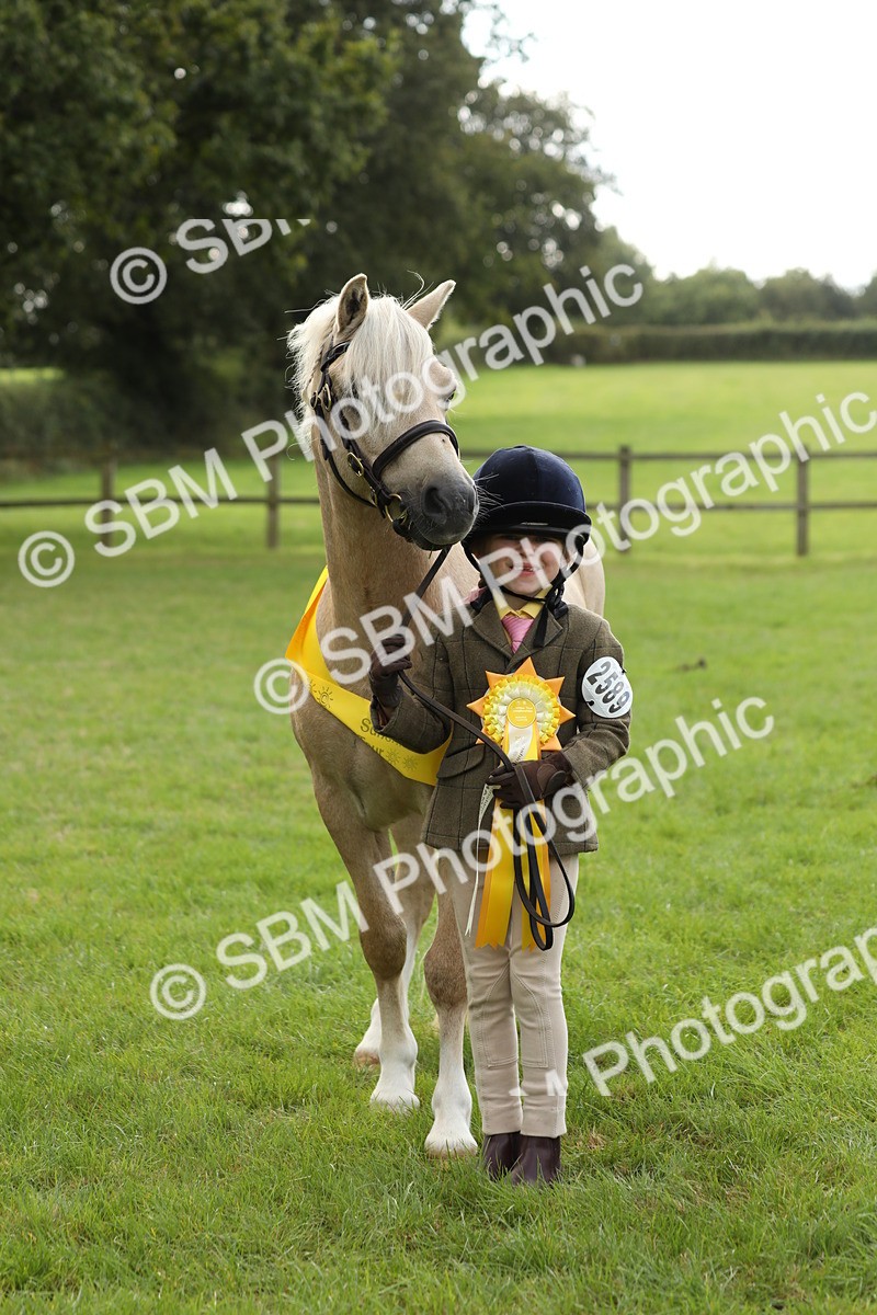 SBM_62850 - S46 - Mountain & Moorland In Hand Small Breeds