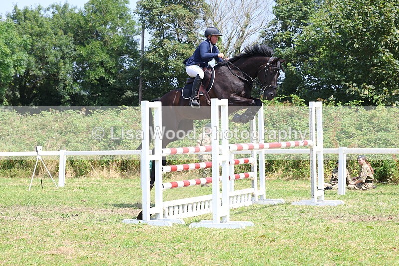 3E7A3369 - Class 10: Senior Foxhunter/1.20 open