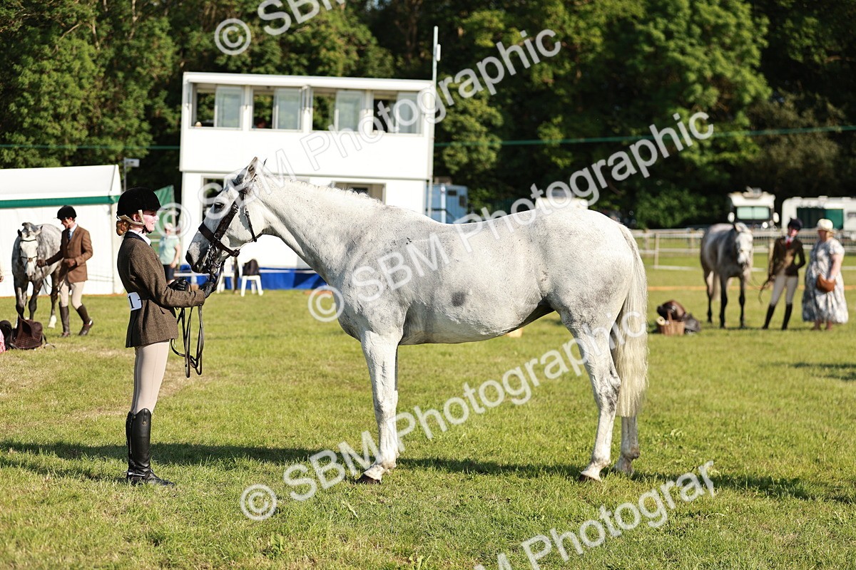 SBM_20026 - Class 115-116 - LIHS BSHA Rising Star Working Hunter & Show Horse