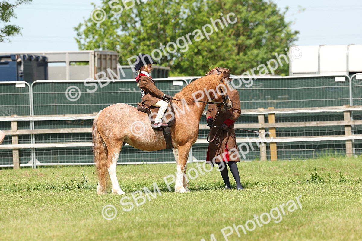 SBM_05196 - Class 24-25 - Mountain & Moorland In Hand Lead Rein and First Ridden