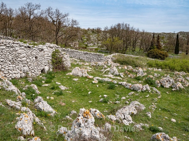 Ancient walled fields and ruined huts nr Monte Sant' Angelo, Gargano,  - Gargano - Flowers in the Landscape