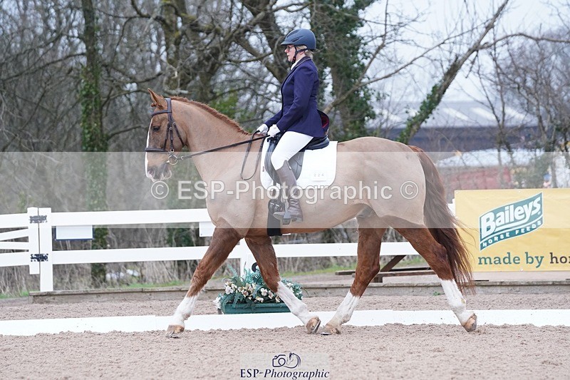 250214-102146-00118 - 224-Jill.McFarland-Adoon.Punchbowl