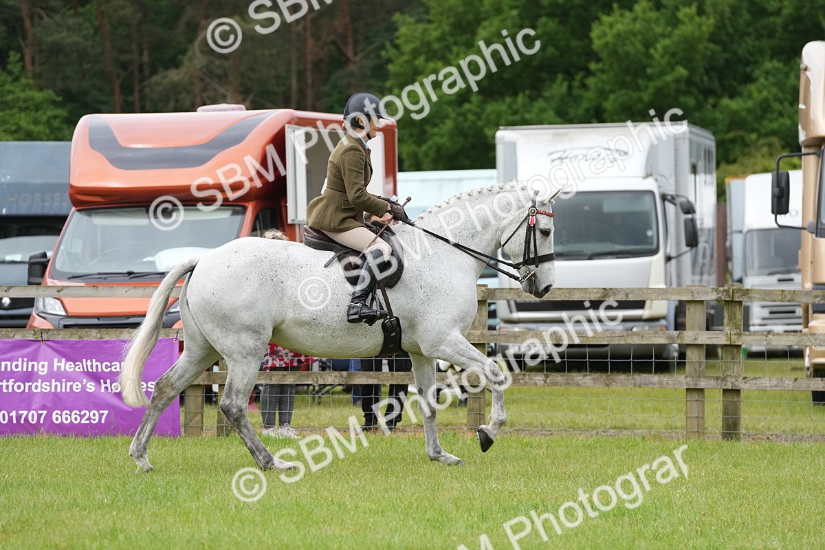 SBM_10658 - Class 97-98 - LIHS BSHA Rising Star Working Show Horse Hunter