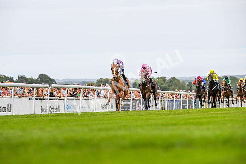 140824-Race 2-Stanhope Gardens-3464 - Race 2
