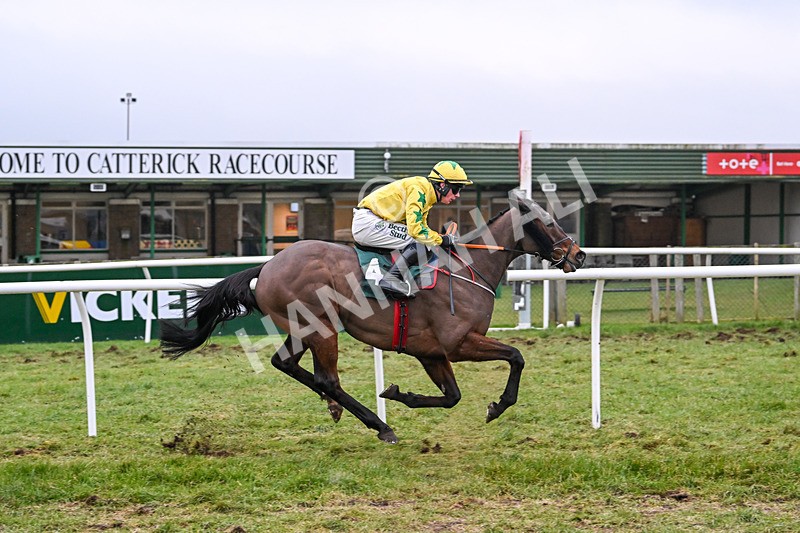 310125-Race 6-Crossing The Bar-5899 - Race 6