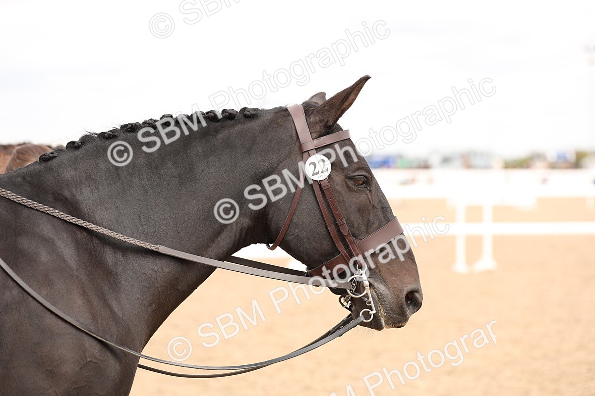 SBM_16520 - Class 212 - Ridden Hunter - Small