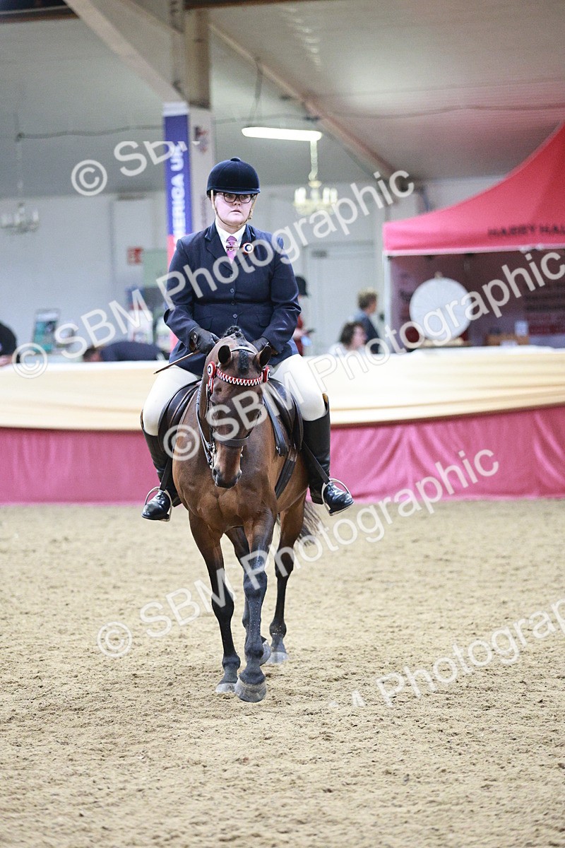 SBM_08166 - Class 11R - Regional Ridden Veteran