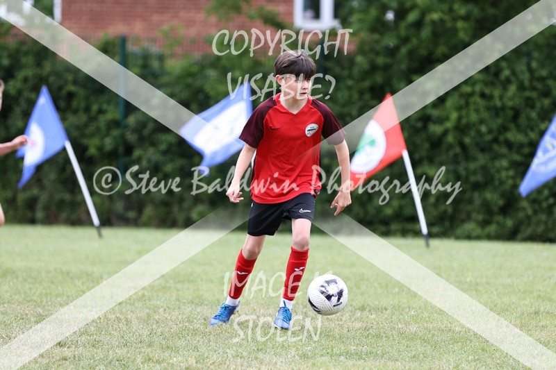 1DX30868 - Brook Field V Goddard Park