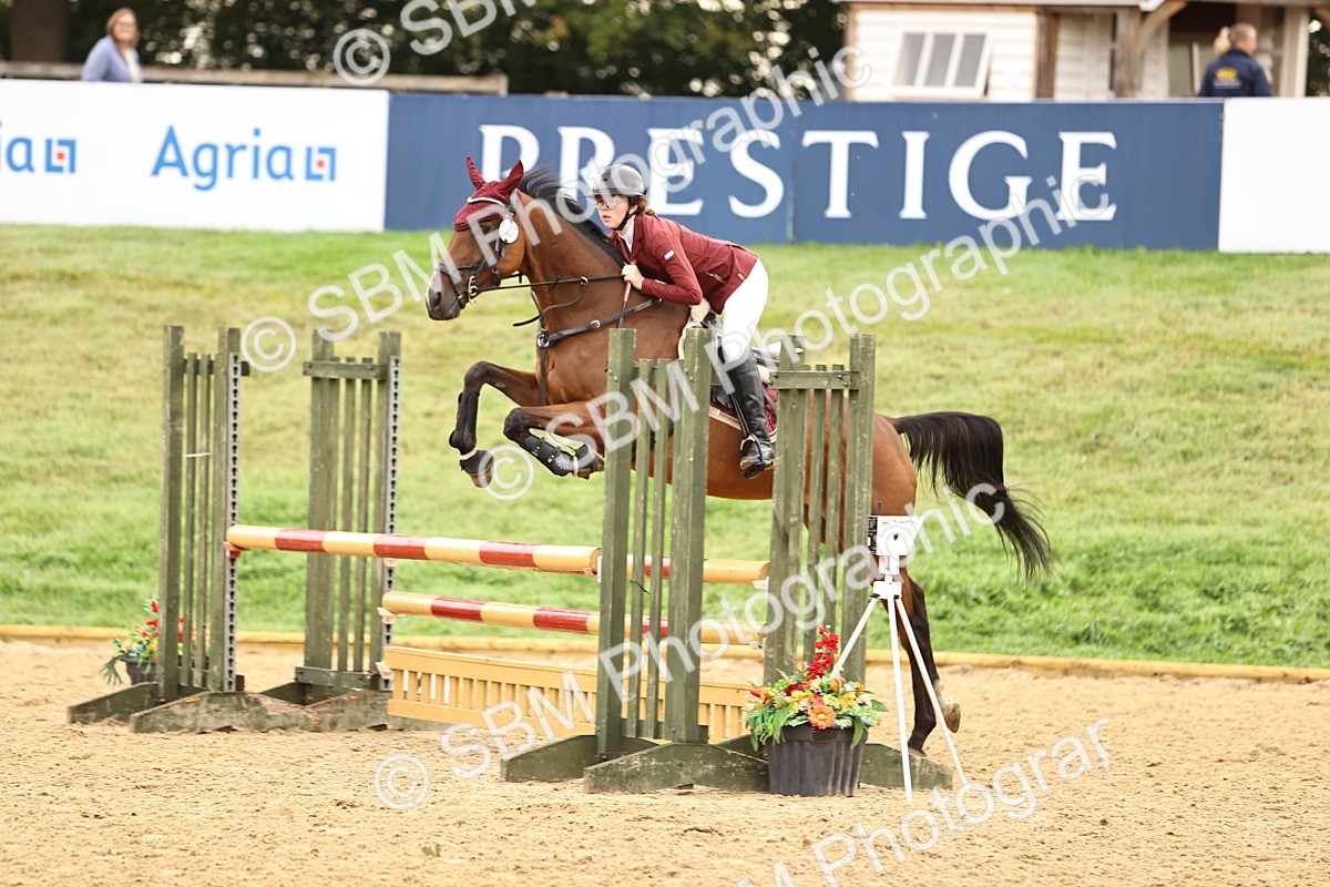 SBM_58337 - J41 - Grand Tour Horse & Pony 95cm