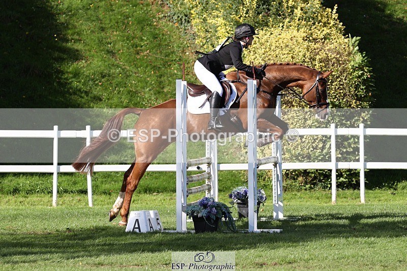 231022-130437-27497 - 484-JESATRAN.FIRECRACKER-Sally.Morton-TrotUp+SJ