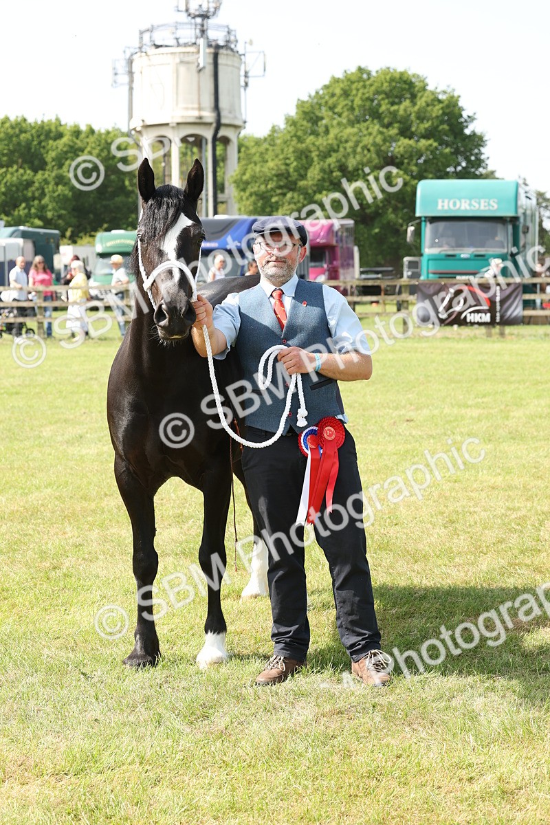 SBM_02354 - Class 6-13 - Mountatin and Moorland In Hand Welsh Breeds