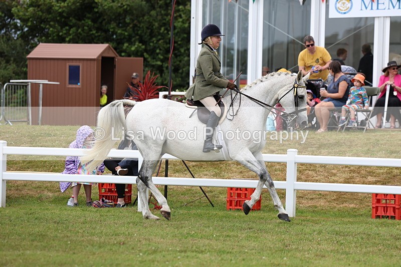 3E7A0906 - Class 8: Open Riding Horse/Hack