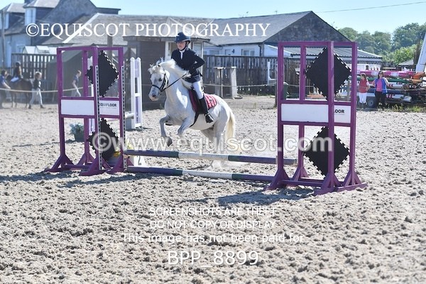 BPP_8899 - CLASS 3 40CM