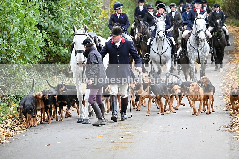 WJ7_7177 - Walk Home..