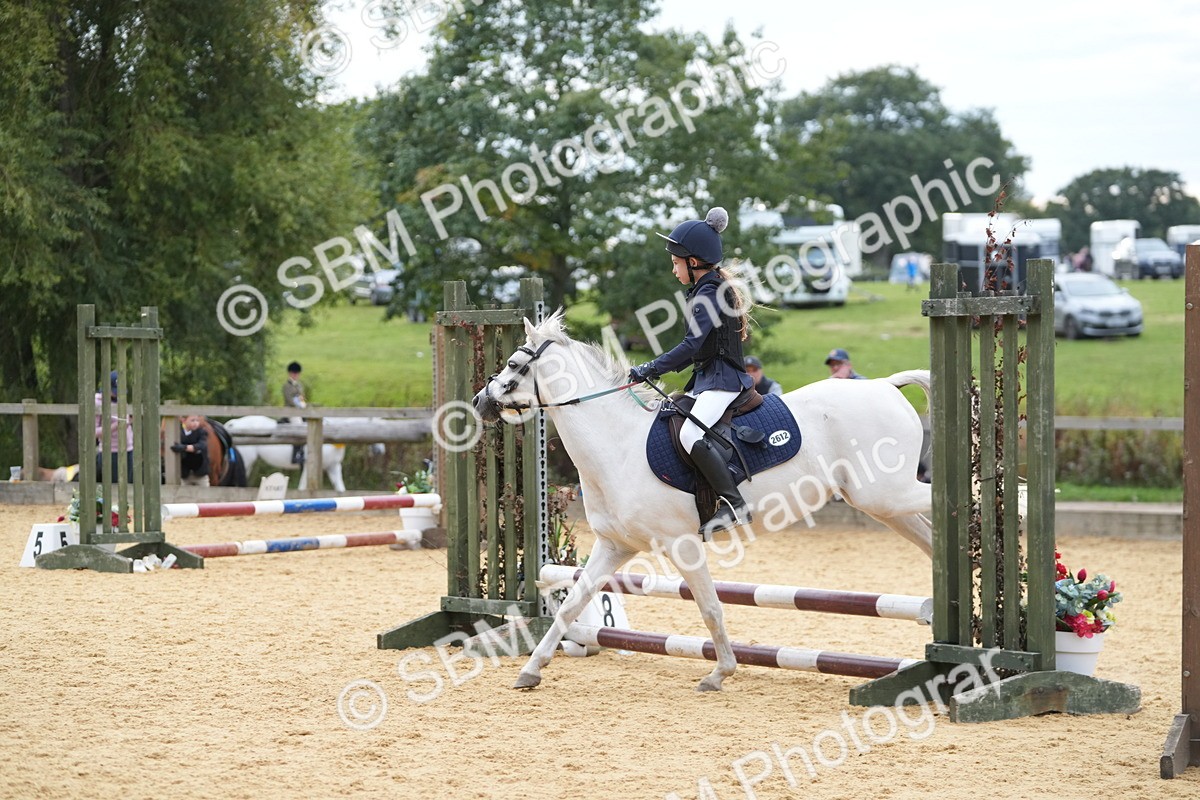 SBM_74792 - J4 - Mini Tour Junior Pony 45cm Championship