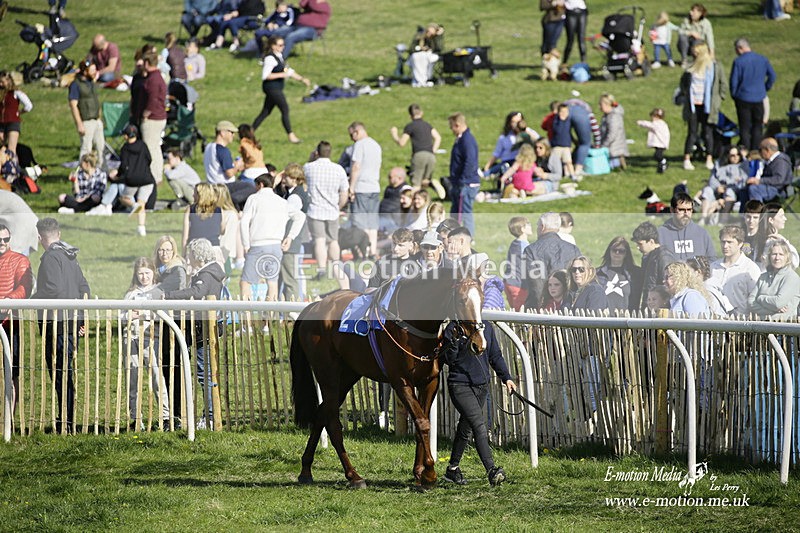 PtP 180422 307 - Old Berkshire PtP Lockinge 18/04/22