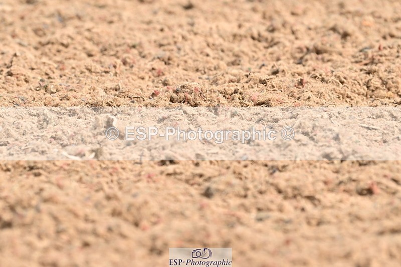 240623A-102156-16571 - Cls 44 BD Prelim 15