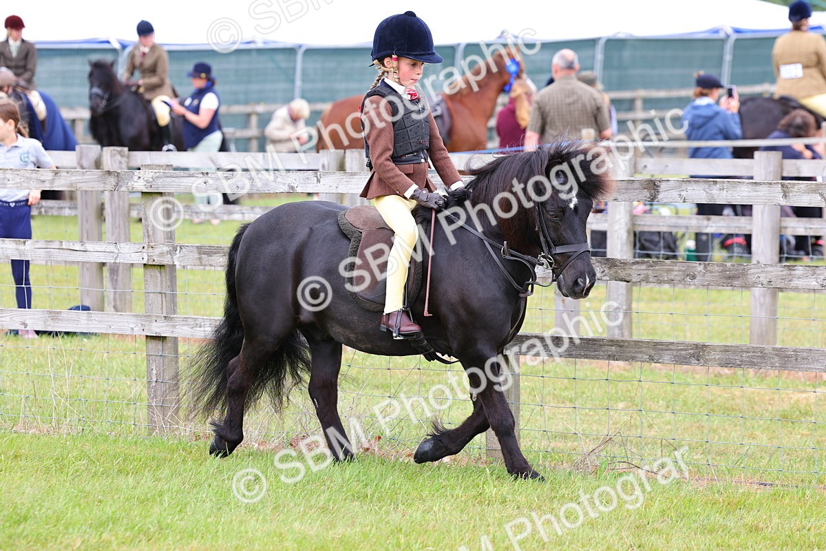 SBM_08494 - Class 42-43 - LIHS BSPS Heritage Working Sports Pony