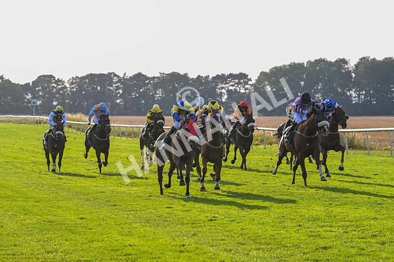 160924-Race 8-Sparkling Red-3353 - Race 8