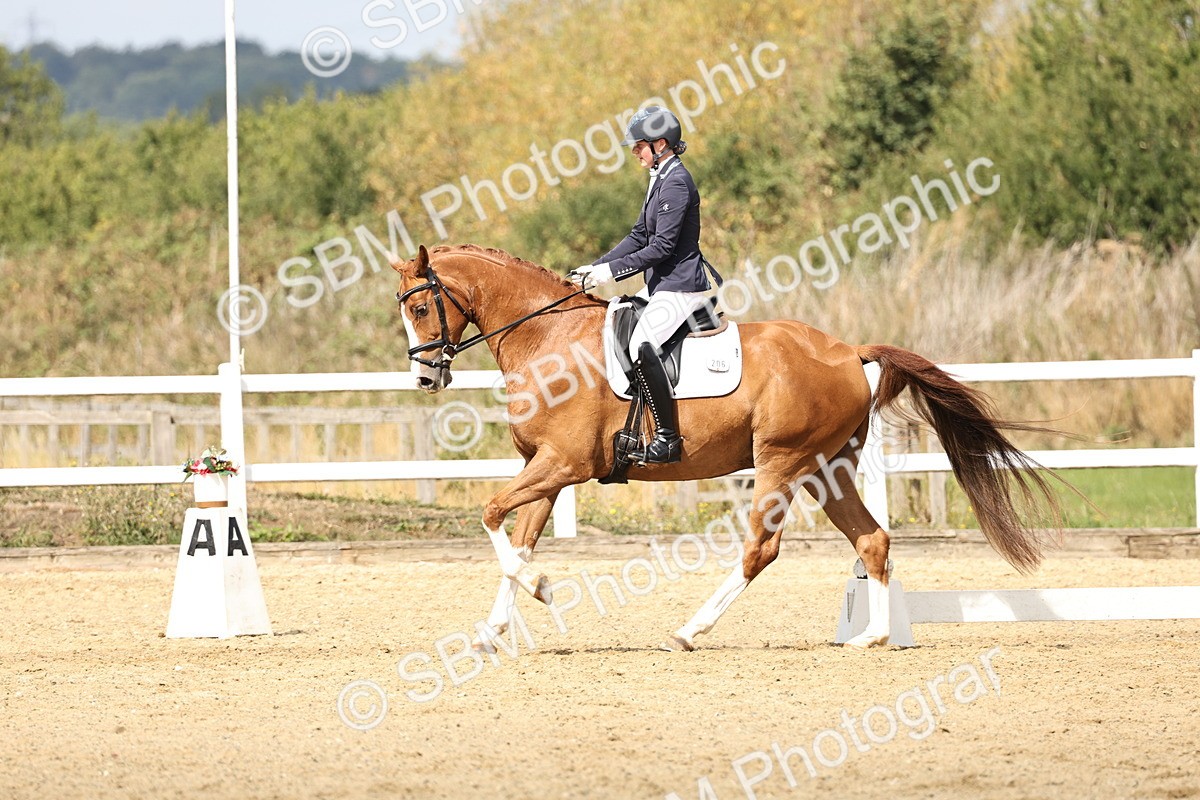 SBM_018332 - Class 16 - Novice 5 - 11.12-12.01