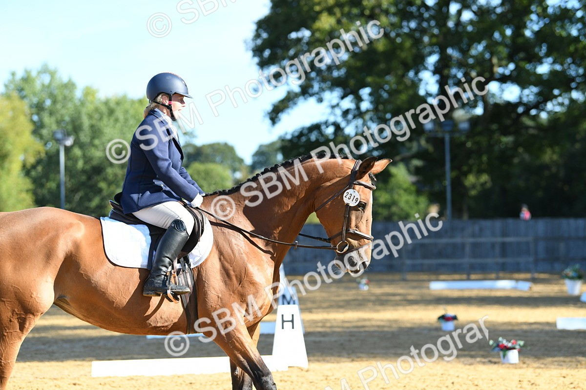 SBM_16235 - D4 - Small Tour Championship - Intro B