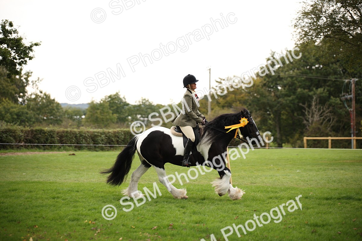 SBM_73598 - S68 - Traditional Cob Ridden