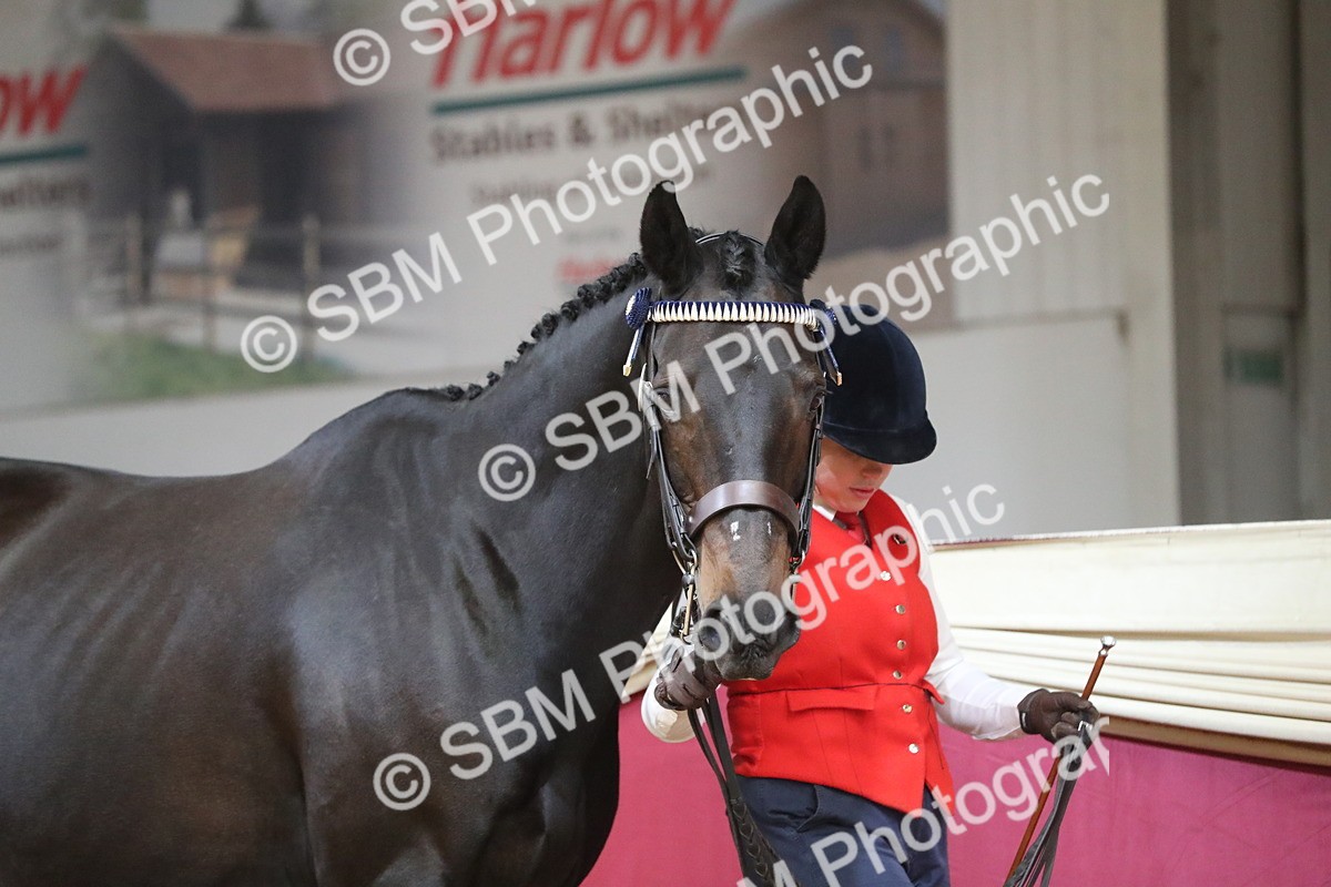 SBM_06214 - Class 9R Regional- IH Pre Vet
