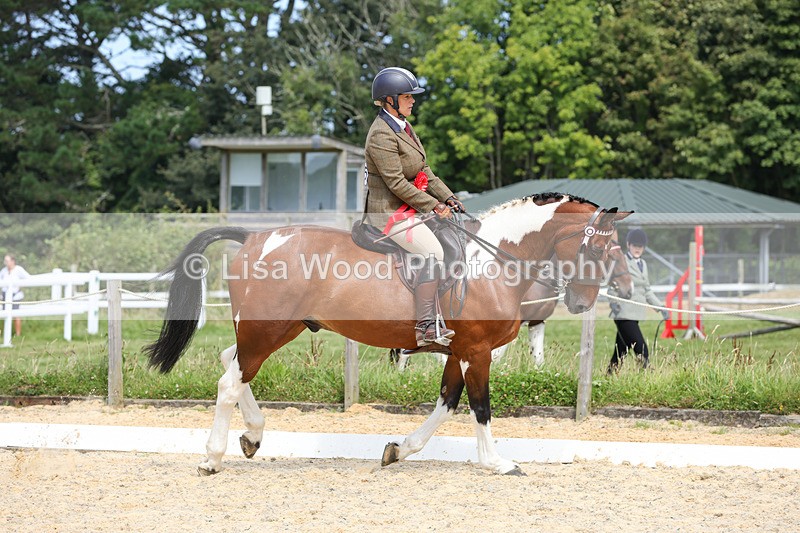 1X9A8417 - Ridden Championship