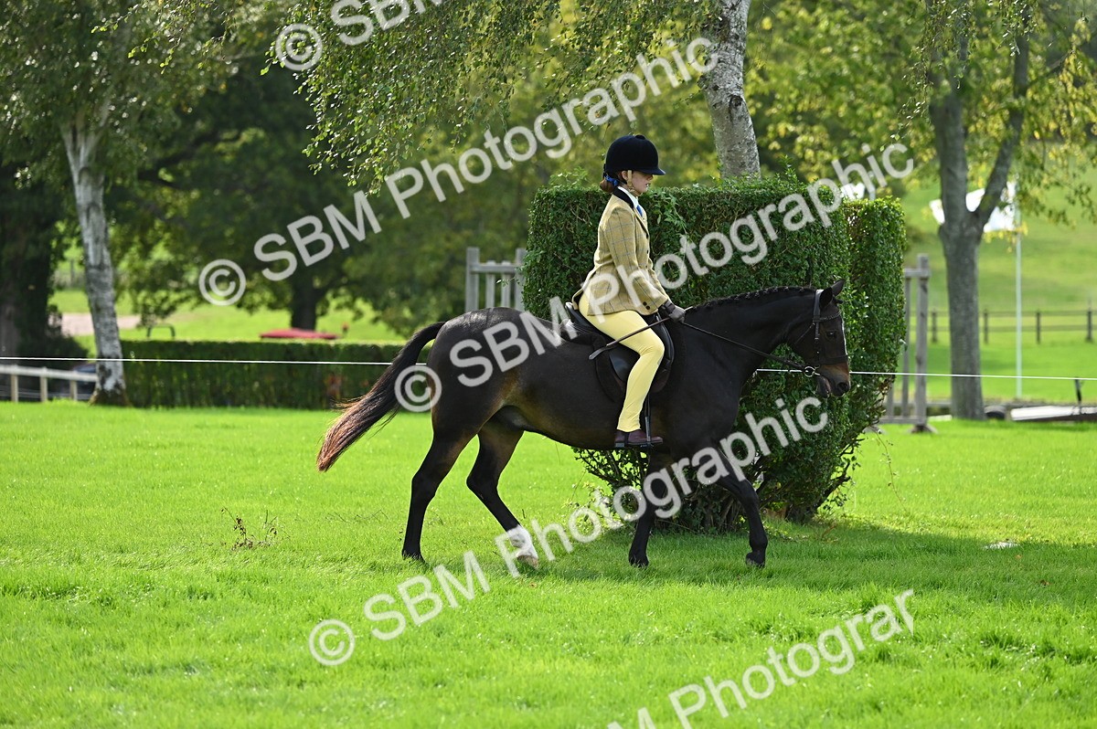 SBM_02614 - S3 - TSR Ridden Pony Showing