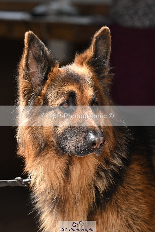 250723-124510-00687 - Cls 3 Snr 1.05m