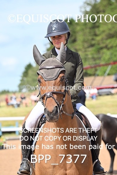 BPP_7377 - CLASS 14 FRI Nupafeeds Senior Dicovery/1m open