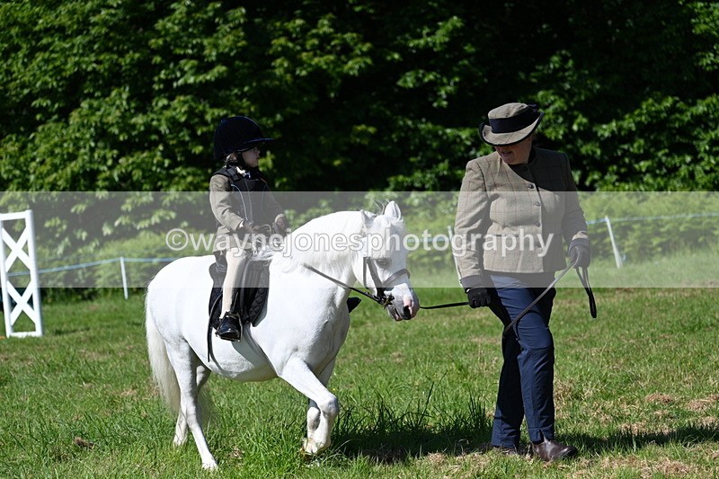 WJ7_0581 - Class 8 First Rally Pony
