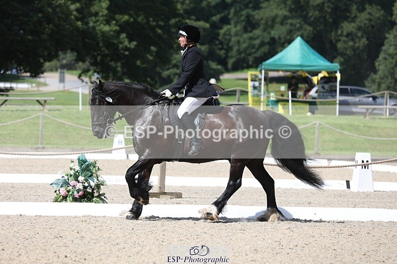 230811-120716-01002 - Cls 1 Prelim Bronze 11.10 to 12.35 break