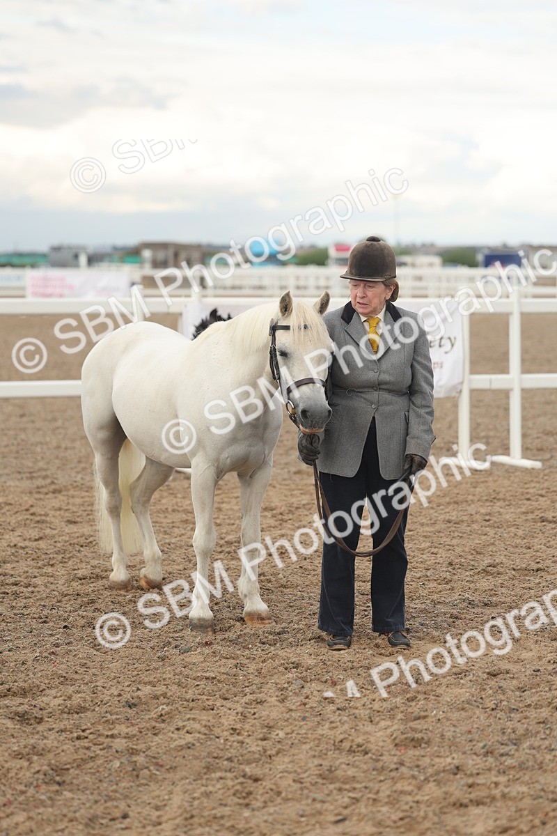 SBM_08547 - Class 29 - IH Veteran Pony