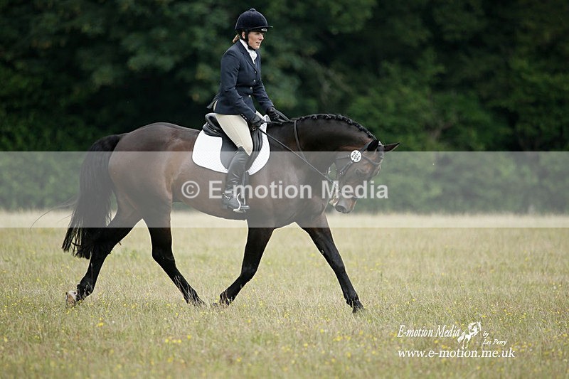 BVRC 030721 417 - Bourne Valley Riding Club Dressage 03/07/21