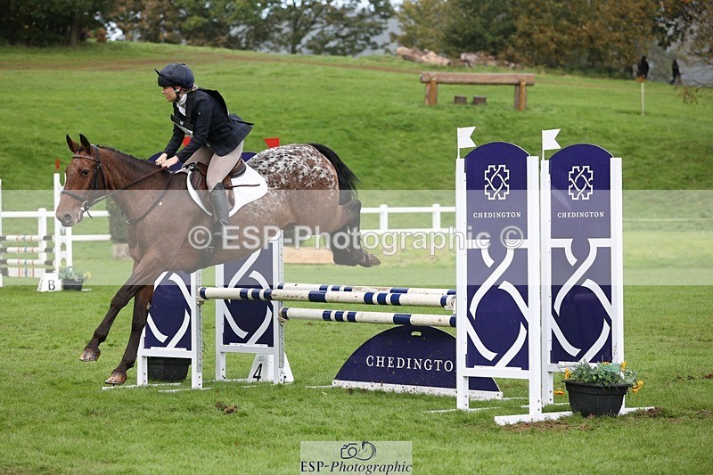231022-133237-27756 - 482-ODDSPOT.VITAL.ELEMENT-Danielle.Davies-TrotUp+SJ
