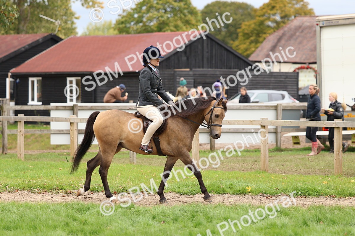 SBM_67363 - S61 - Mountain & Moorland Ridden
