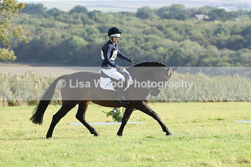 JPP_7997 - Class 2A: Trekenning Open: Dressage